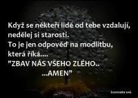 /album/oblibena-zivotni-moudra/amen-jpg/